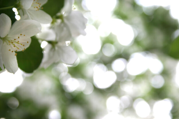 Workshop: „MEinklang“ für Menschen mit Krebserfahrung und Angehörige