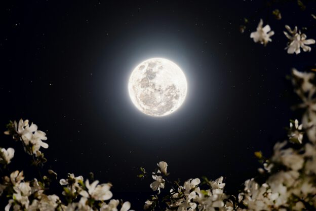 Nach-Klangkonzert „Blumenmond“